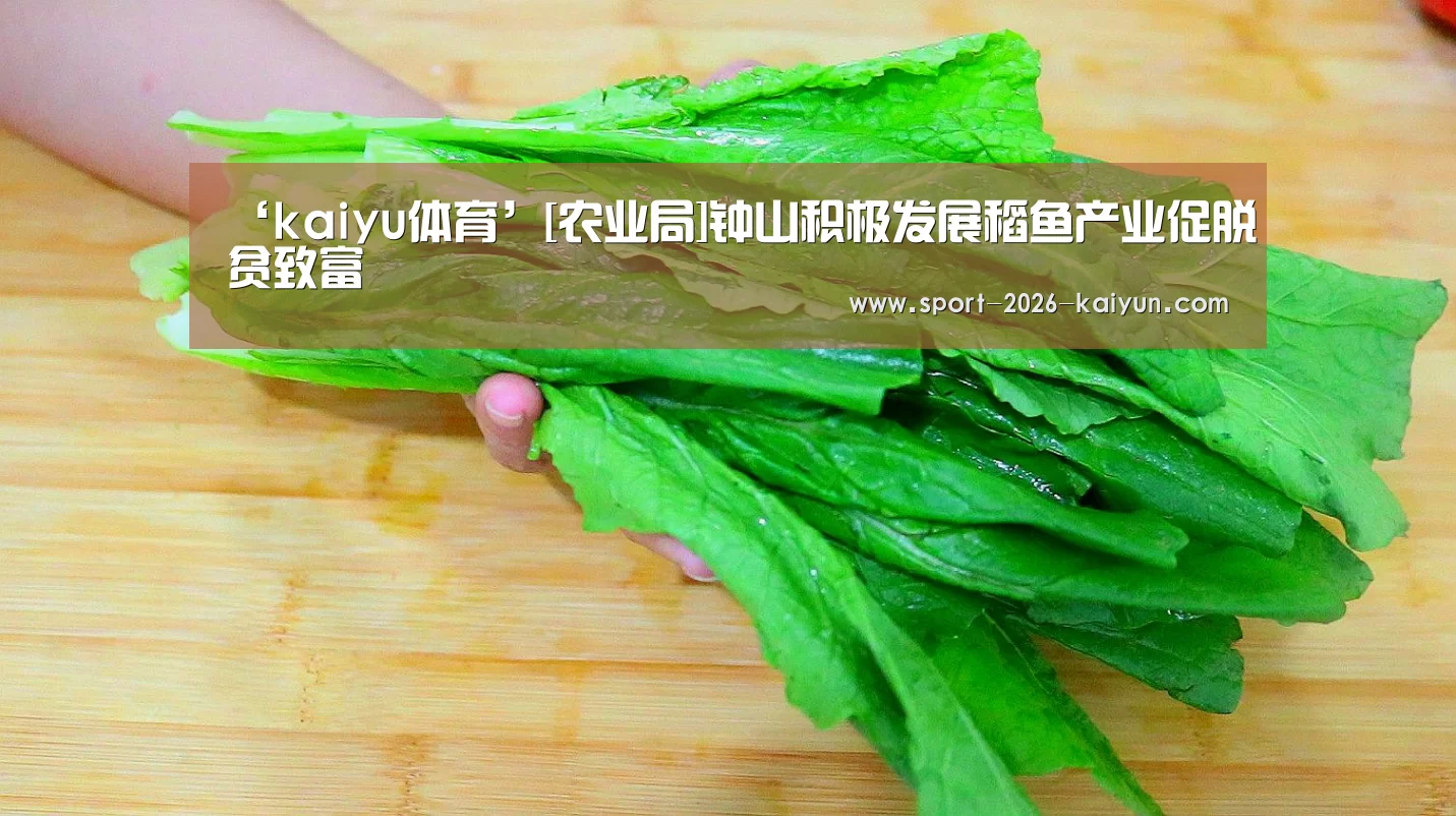 开运体育